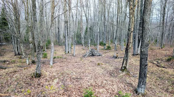 $234,950 | O R North R Applebee Road, Exeland, WI 54835