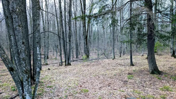 $234,950 | O R North R Applebee Road, Exeland, WI 54835