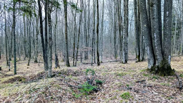 $234,950 | O R North R Applebee Road, Exeland, WI 54835