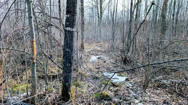 $234,950 | O R North R Applebee Road, Exeland, WI 54835