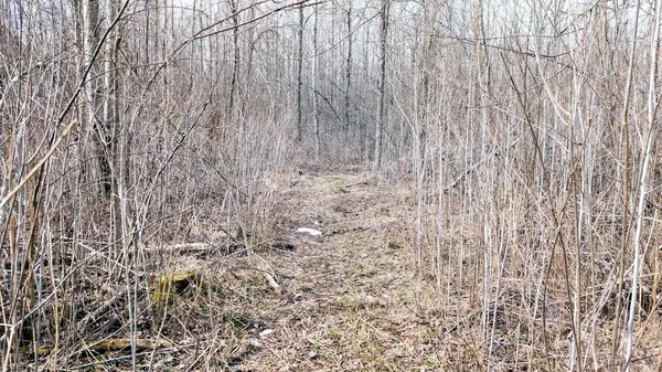 $234,950 | O R North R Applebee Road, Exeland, WI 54835