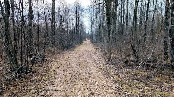 $234,950 | O R North R Applebee Road, Exeland, WI 54835