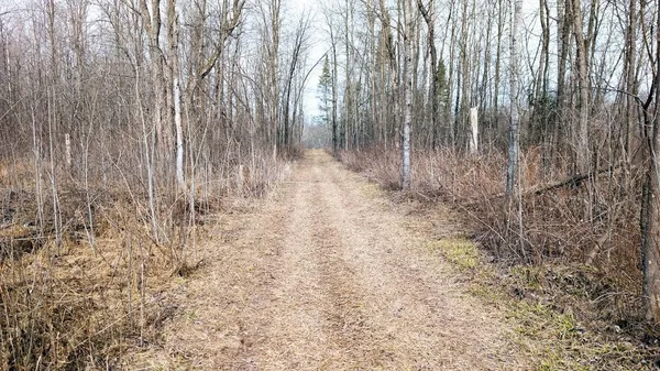 $234,950 | O R North R Applebee Road, Exeland, WI 54835