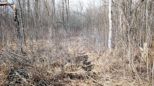 $234,950 | O R North R Applebee Road, Exeland, WI 54835