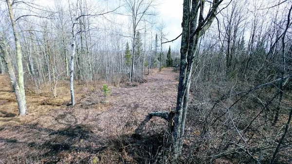 $234,950 | O R North R Applebee Road, Exeland, WI 54835