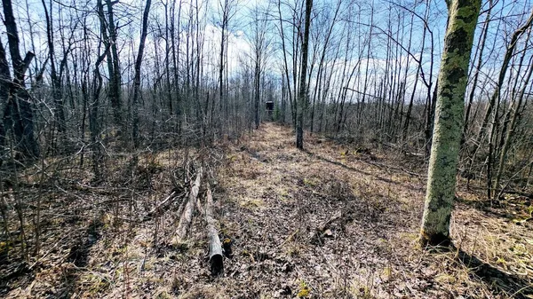 $234,950 | O R North R Applebee Road, Exeland, WI 54835