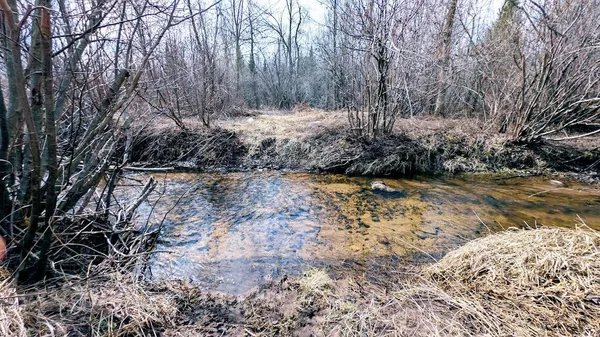 $234,950 | O R North R Applebee Road, Exeland, WI 54835