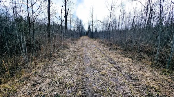$234,950 | O R North R Applebee Road, Exeland, WI 54835