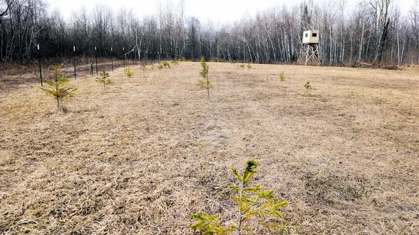 $234,950 | O R North R Applebee Road, Exeland, WI 54835