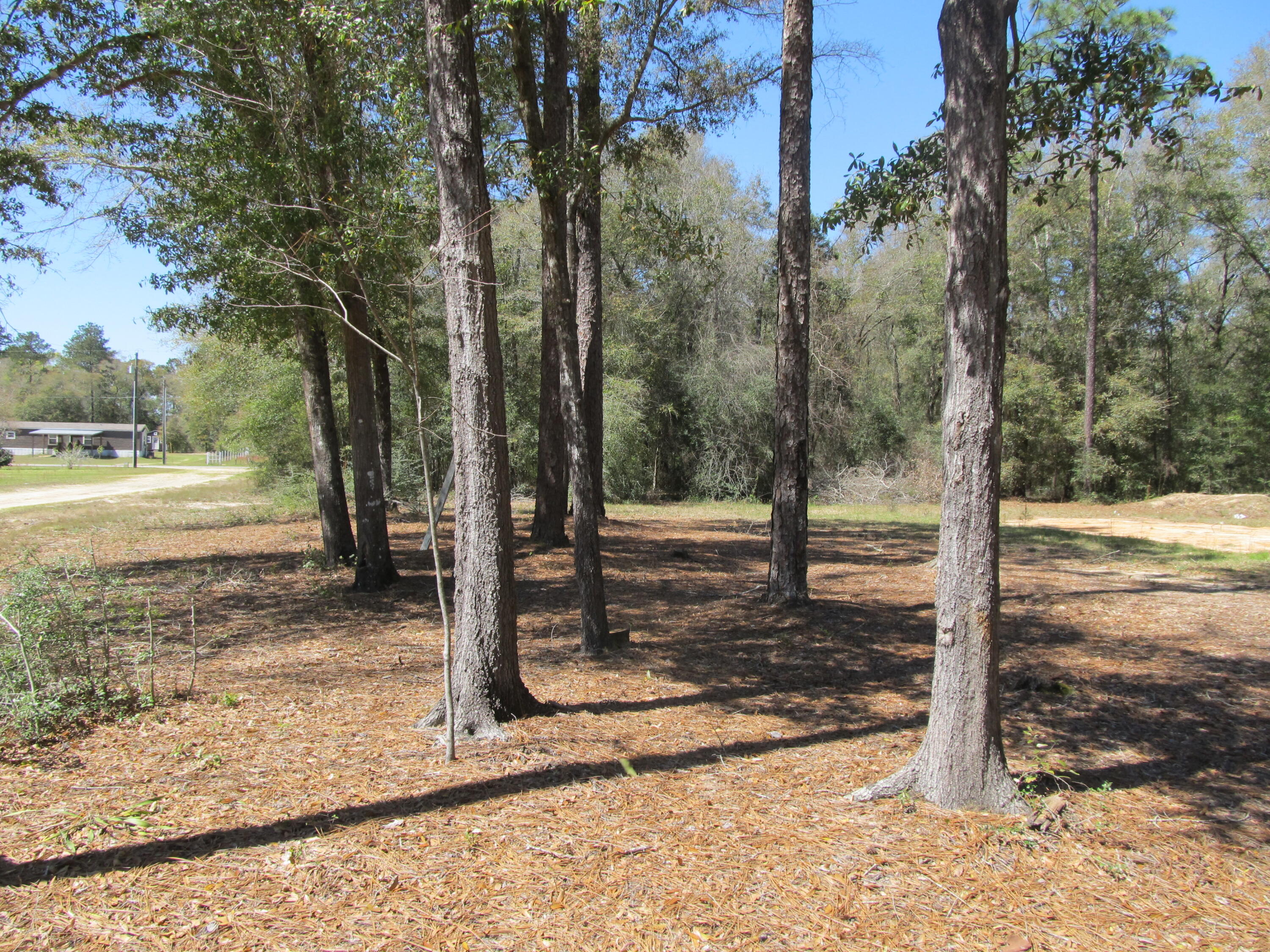 81 Malloy Road DeFuniak Springs, FL 32433 - Photo 2 of 5 IMG_2905