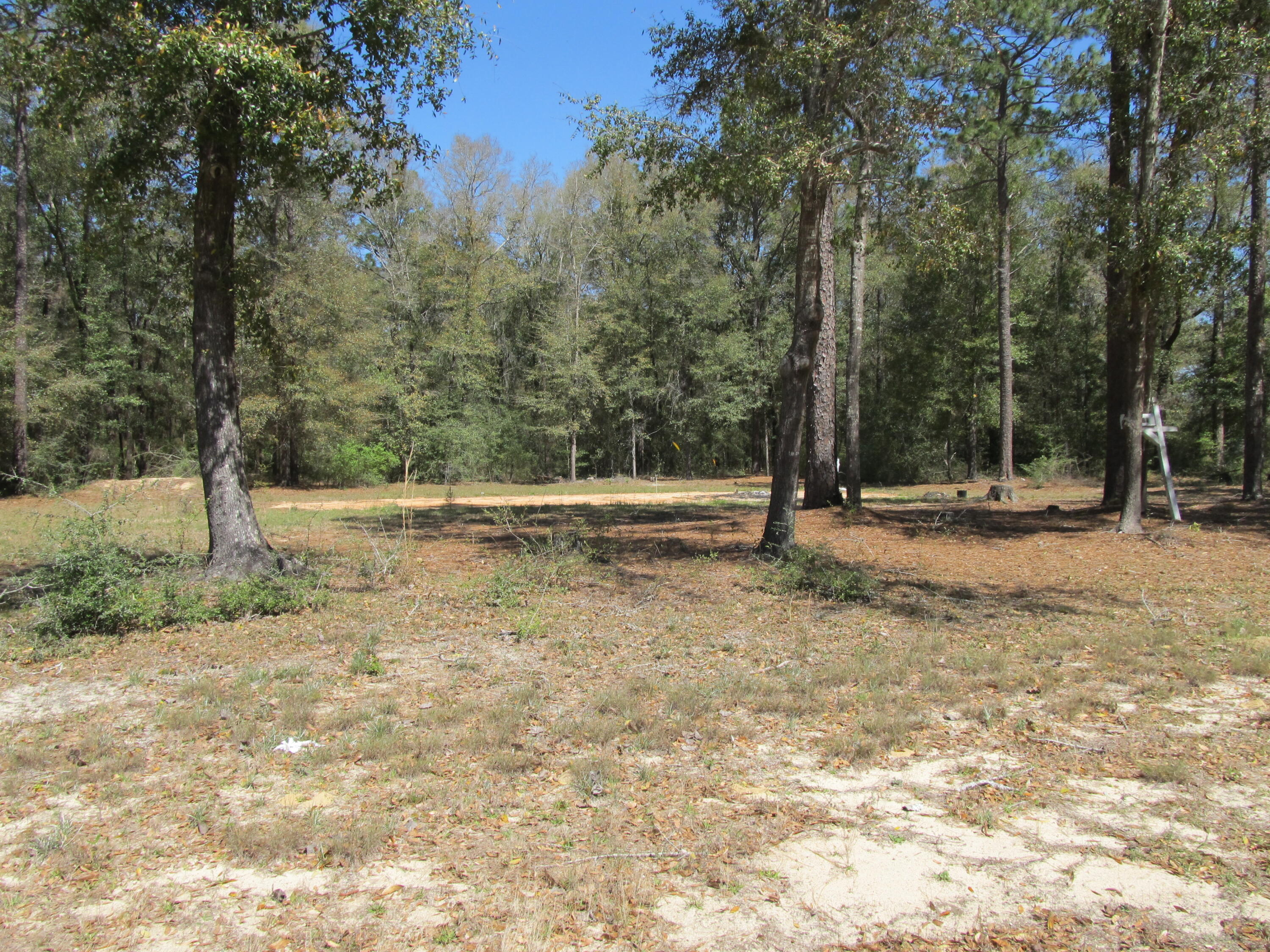 81 Malloy Road DeFuniak Springs, FL 32433 - Photo 3 of 5 IMG_2907