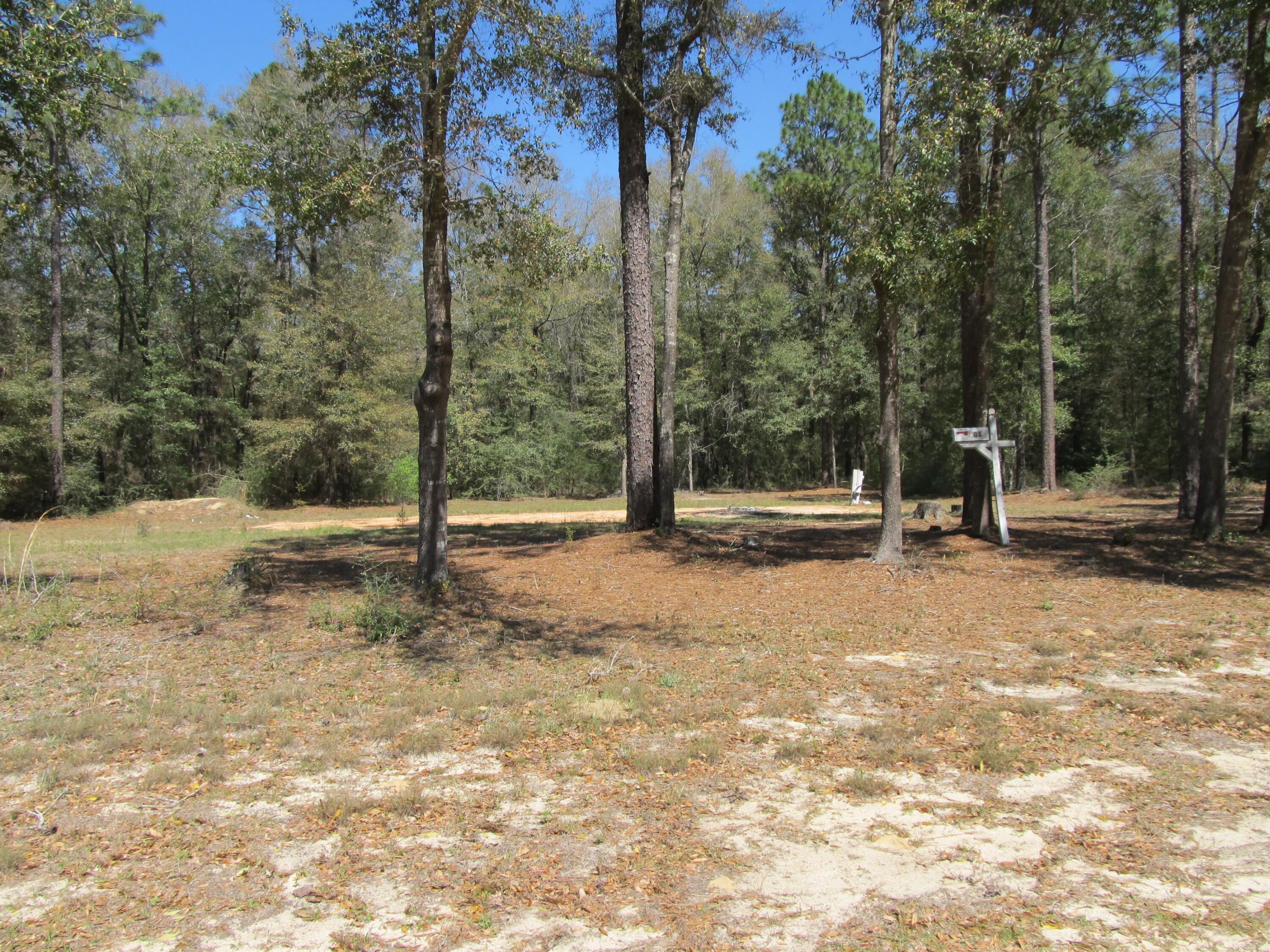 81 Malloy Road DeFuniak Springs, FL 32433 - Photo 5 of 5 IMG_2910
