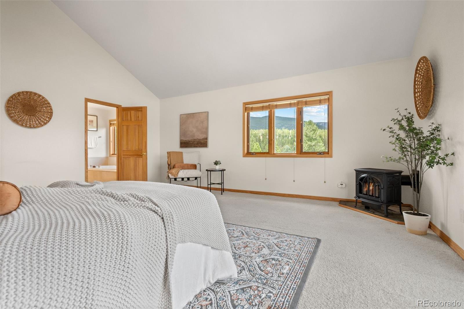 1363 Royal Ridge Drive Bailey, CO 80421 - Photo 30 of 50 Gallery Image 30