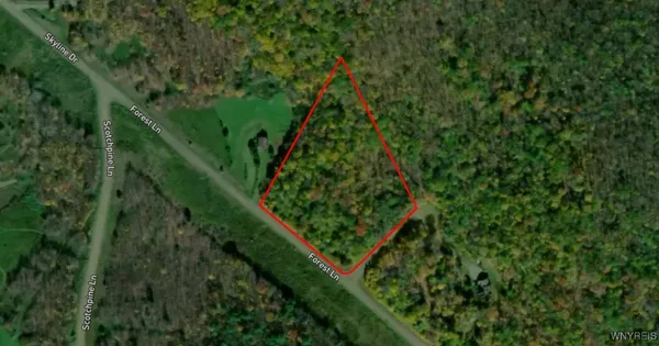 $78,900 | Lot 20 Forest Lane, Margaretville, NY 12455