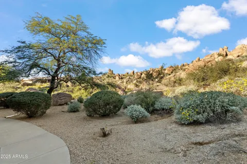 a view of a dry yard with lots of green space