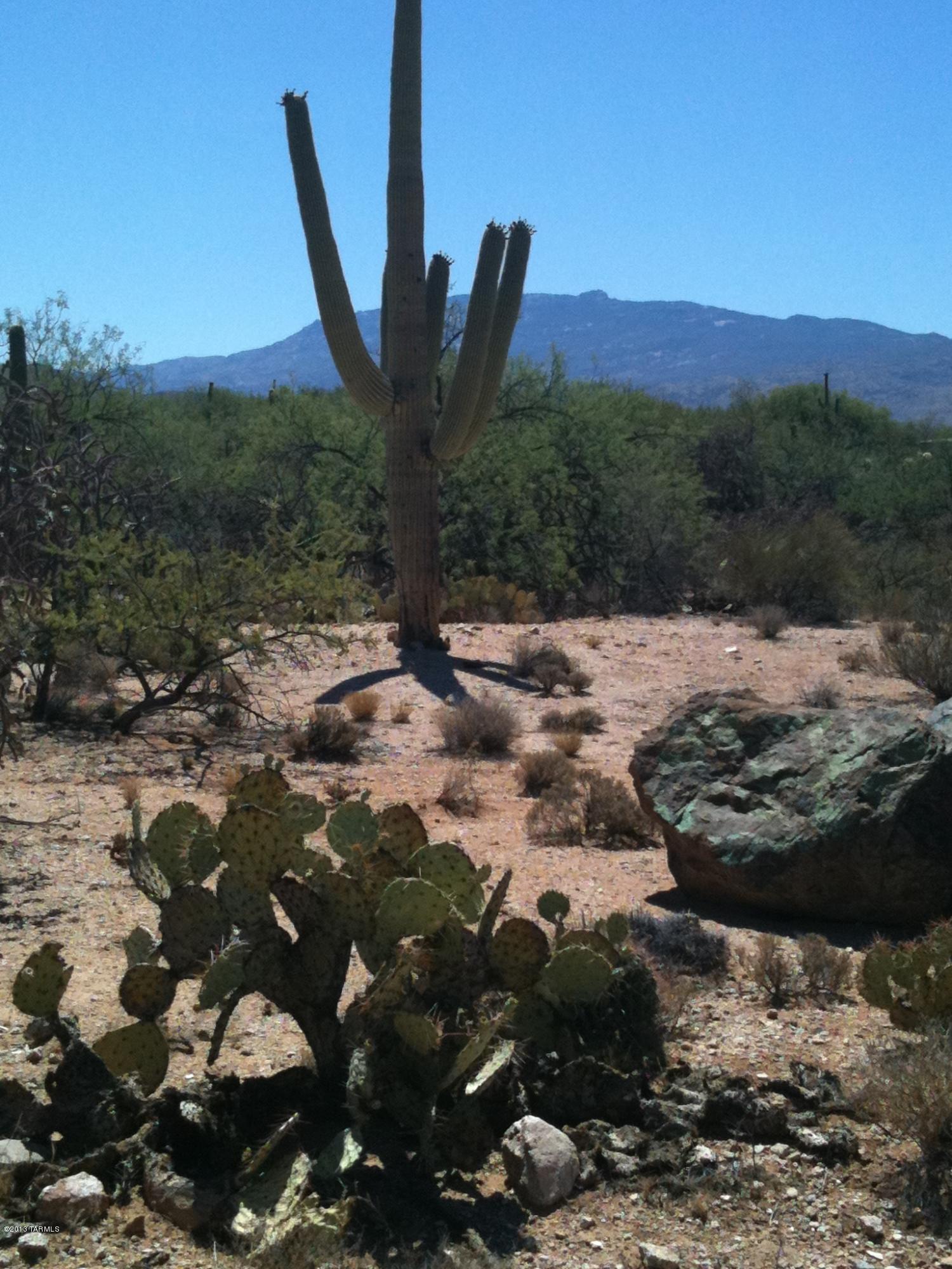 Prince Road, Unit A Tucson, AZ 85749 - Photo 5 of 16