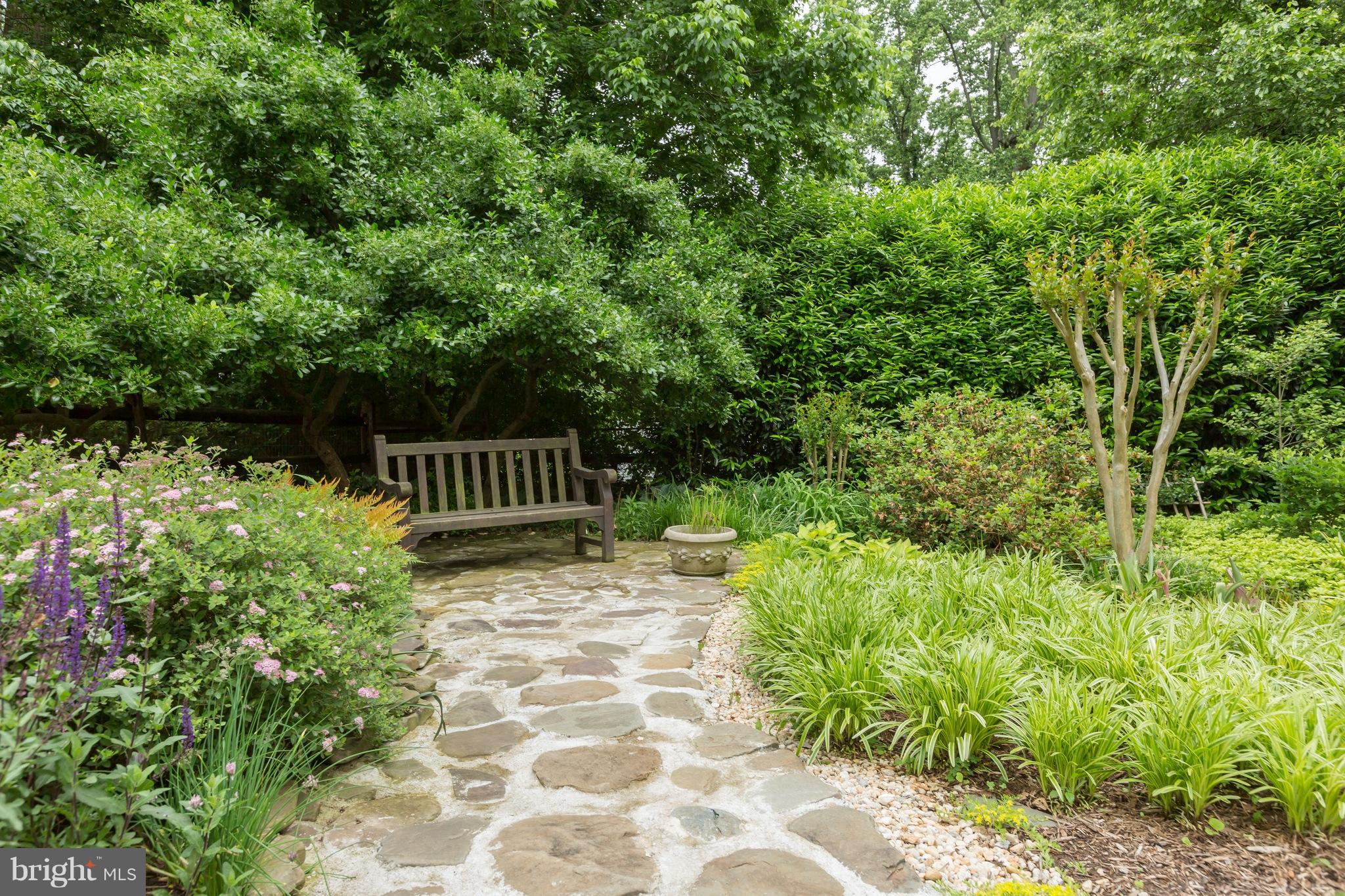 8006 Overhill Road Bethesda, MD 20814 - Photo 24 of 28 Garden