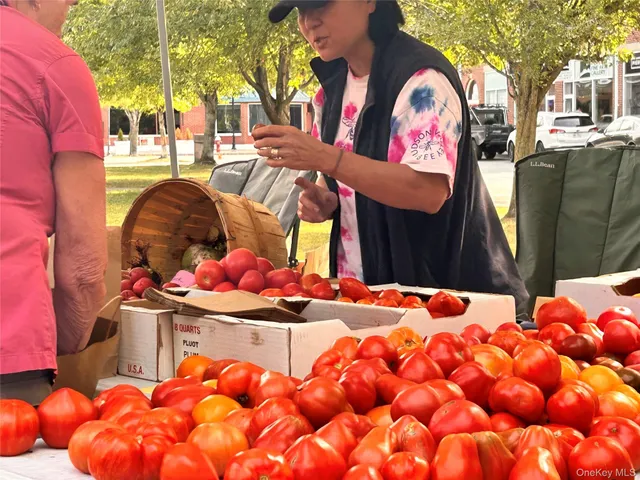 a view of a building with sitting area and garden