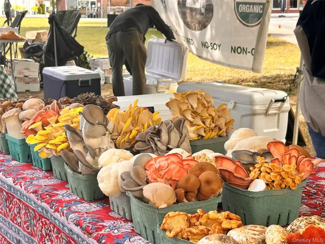a view of outdoor space and seating area