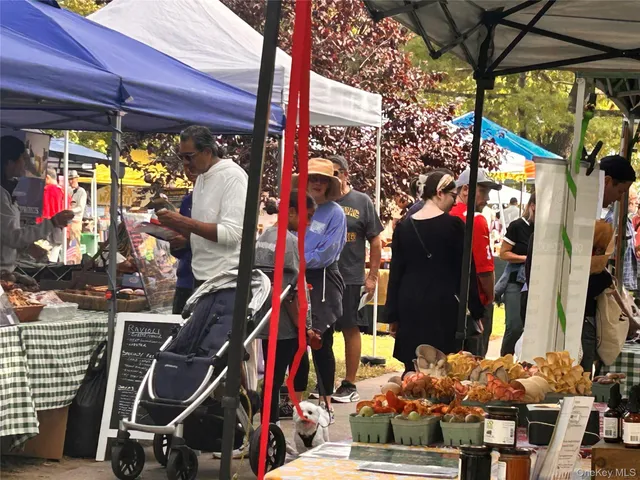 a picture of a couch in a backyard