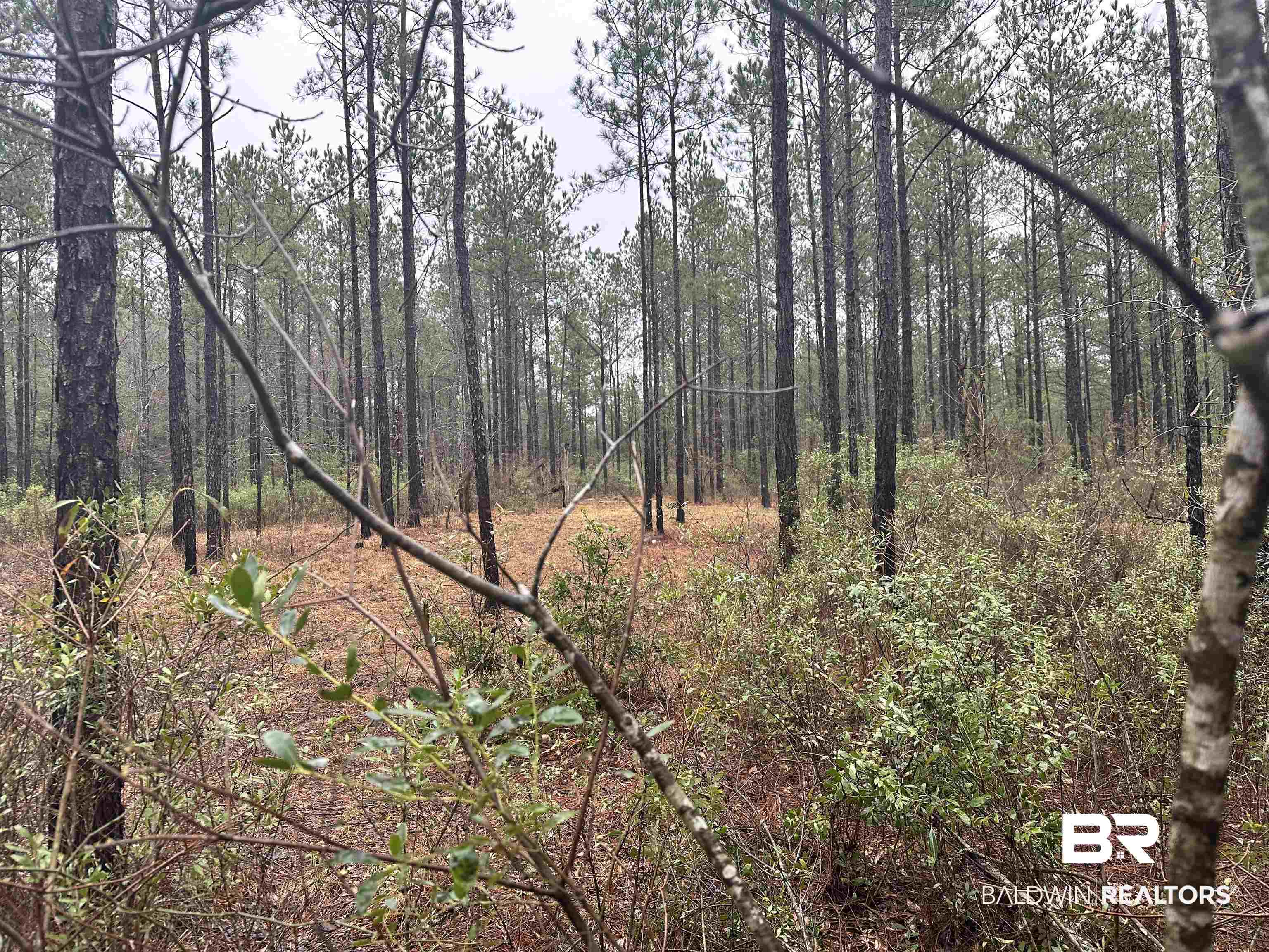 4549 J D Howard Road Tibbie, AL 36583 - Photo 15 of 33