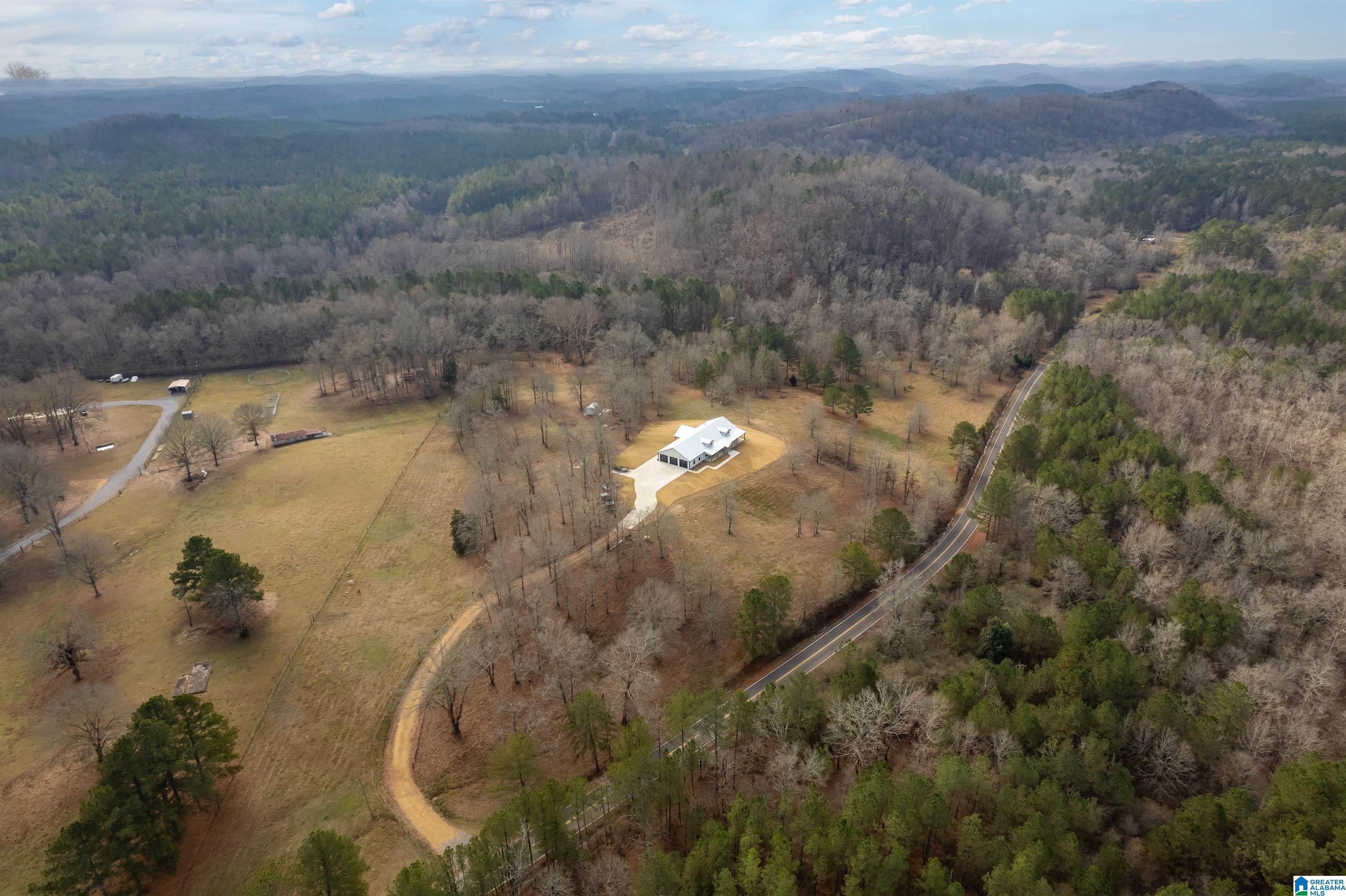 674 Dry Creek Road Cropwell, AL 35054 - Photo 41 of 49