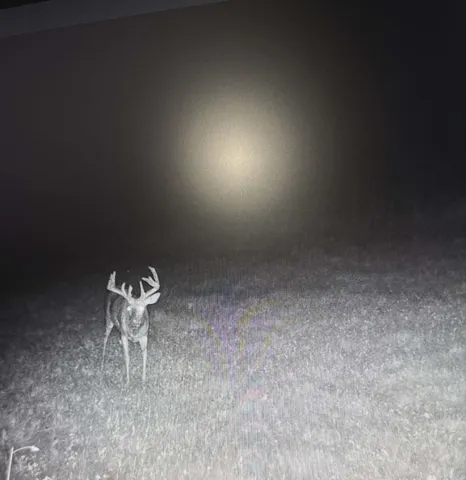 $1,499,000 | 10001 Pioneer Road, Osseo, MI 49266