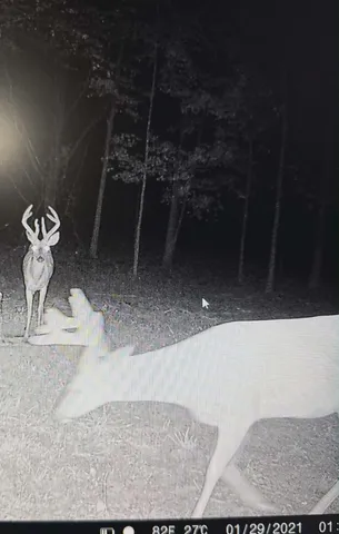 $1,499,000 | 10001 Pioneer Road, Osseo, MI 49266