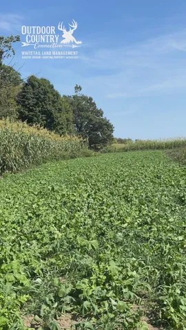 $1,499,000 | 10001 Pioneer Road, Osseo, MI 49266