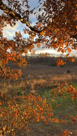 $1,499,000 | 10001 Pioneer Road, Osseo, MI 49266