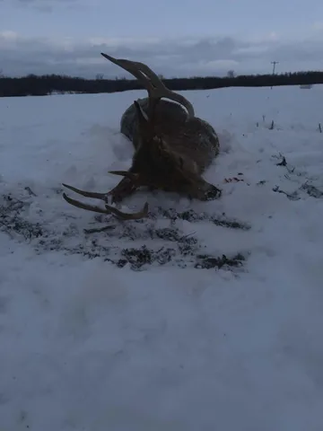 $1,499,000 | 10001 Pioneer Road, Osseo, MI 49266