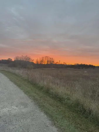 $1,300,000 | 10001 Pioneer Road, Osseo, MI 49266