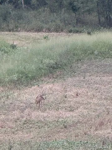 $1,499,000 | 10001 Pioneer Road, Osseo, MI 49266