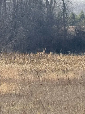 $1,499,000 | 10001 Pioneer Road, Osseo, MI 49266