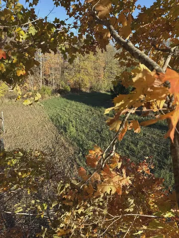 $1,499,000 | 10001 Pioneer Road, Osseo, MI 49266