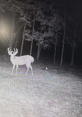 $1,499,000 | 10001 Pioneer Road, Osseo, MI 49266