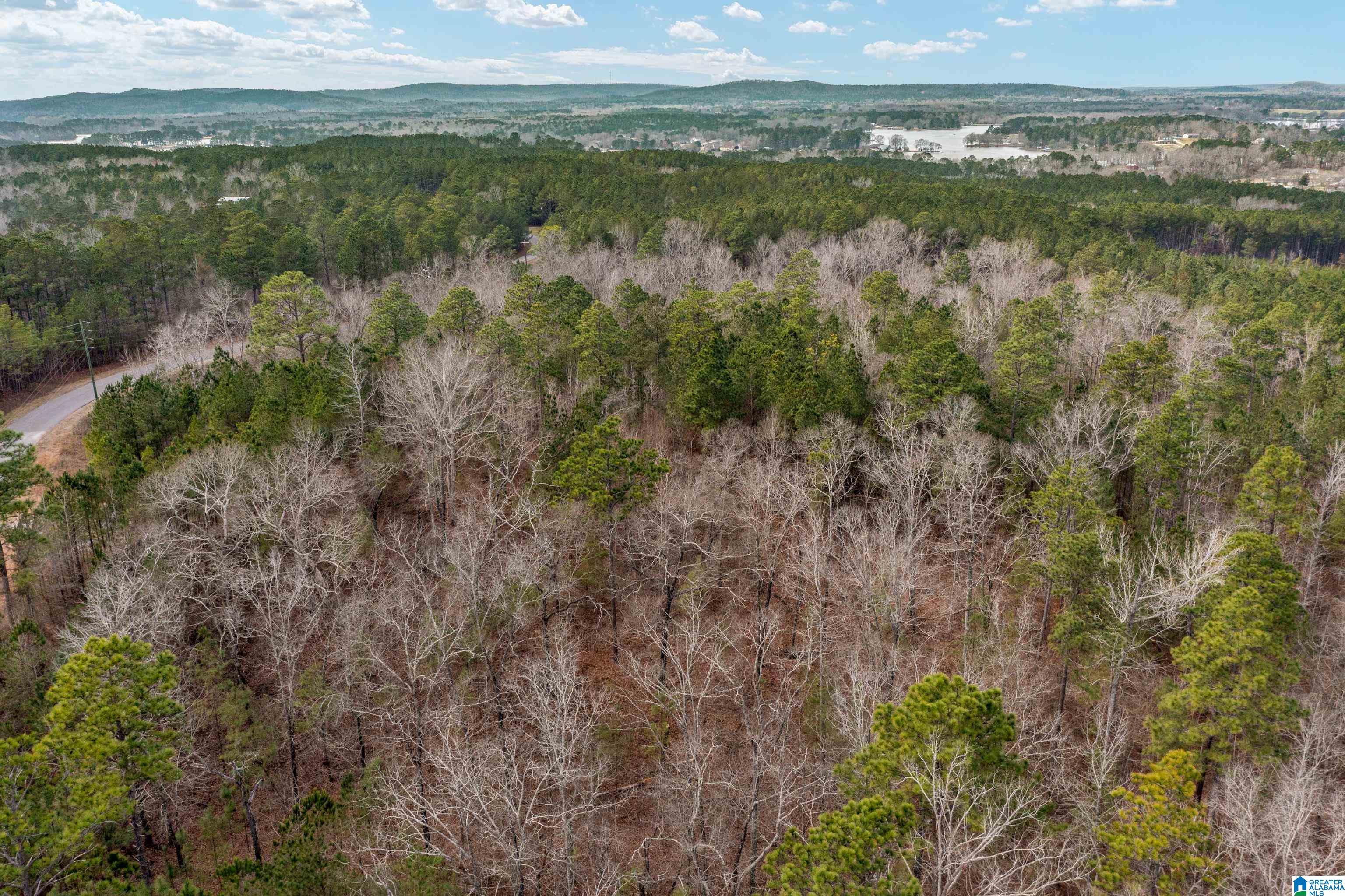 Shore Side Lane, Unit 213 Sylacauga, AL 35151 - Photo 7 of 11