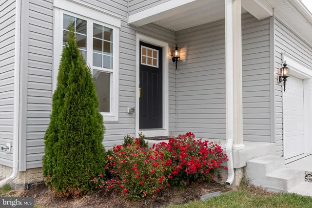a bunch of flowers in front of the house