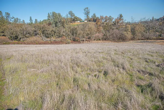 a view of a dry yard