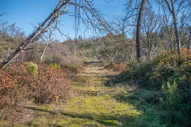 a view of outdoor space and yard