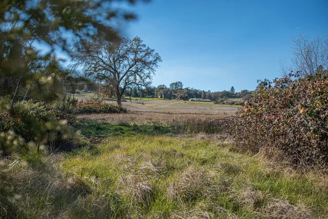 a view of a outdoor space with green field and trees