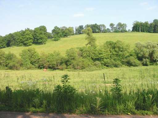Tract 2 Atlasburg Road Avella, PA 15312 - Photo 2 of 6 Other.