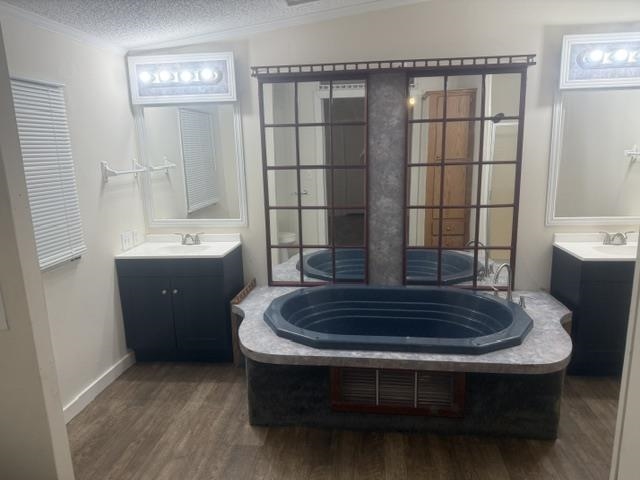 1100 Pine Top Road Toone, TN 38381 - Photo 20 of 40 Bathroom featuring a built-in soaking tub, dual vanity sinks with storage cabinets, wall-mounted mirrors, and strip lighting fixtures