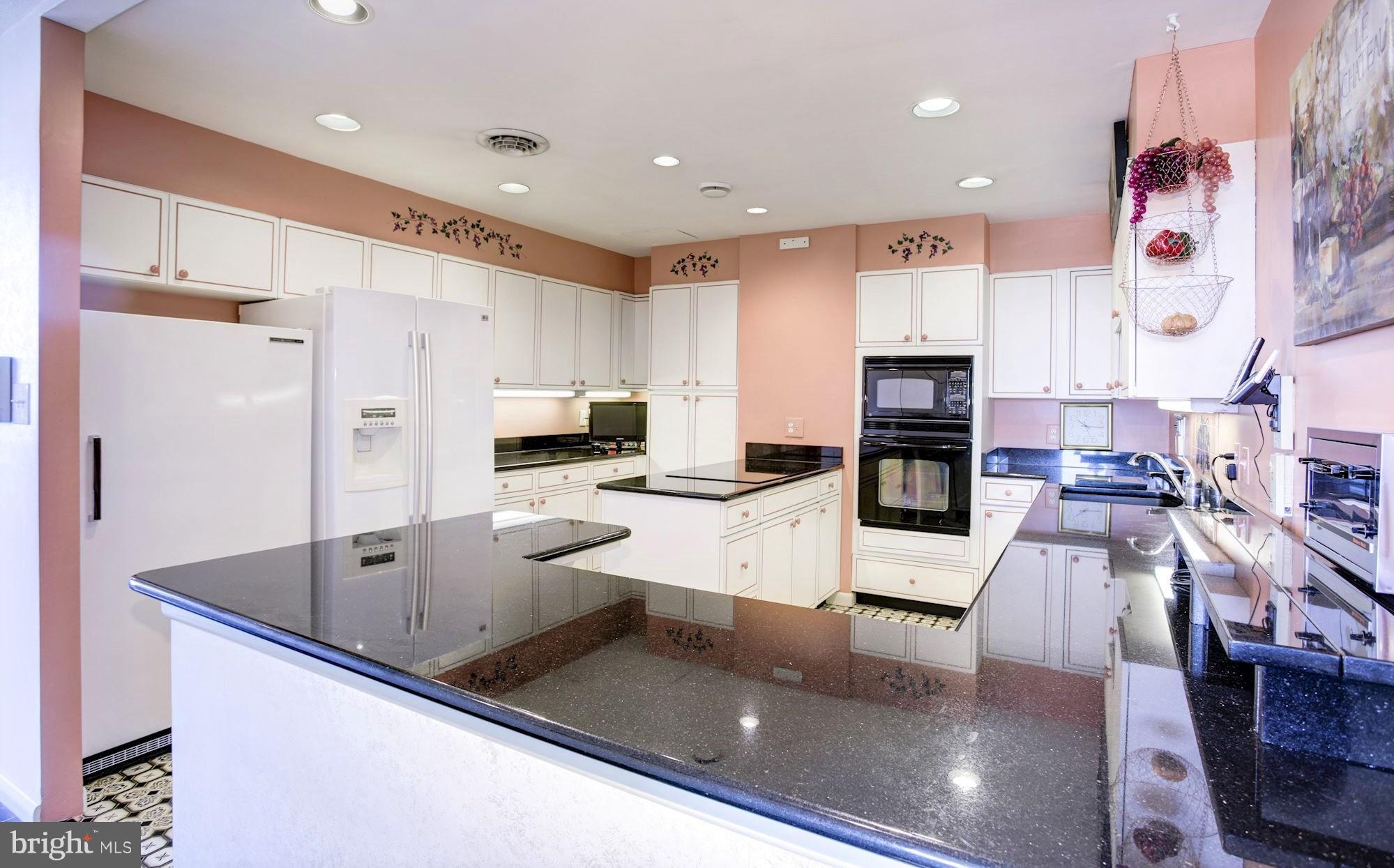 205 East Joppa Road, Unit 2802 Baltimore, MD 21286 - Photo 9 of 23 Granite Counters