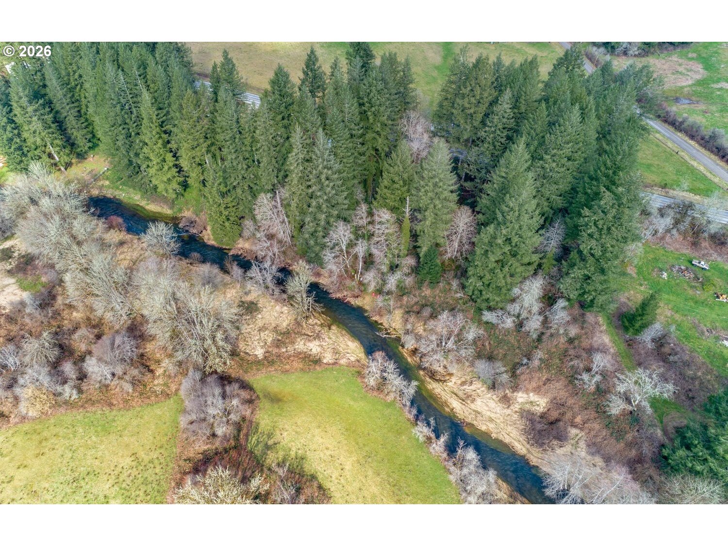 Northeast Cedar Creek Road Amboy, WA 98601 - Photo 11 of 21