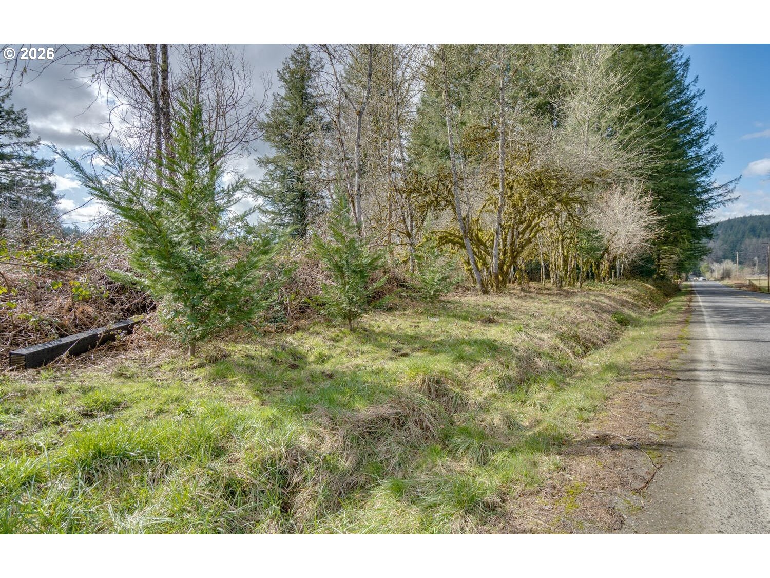 Northeast Cedar Creek Road Amboy, WA 98601 - Photo 12 of 21