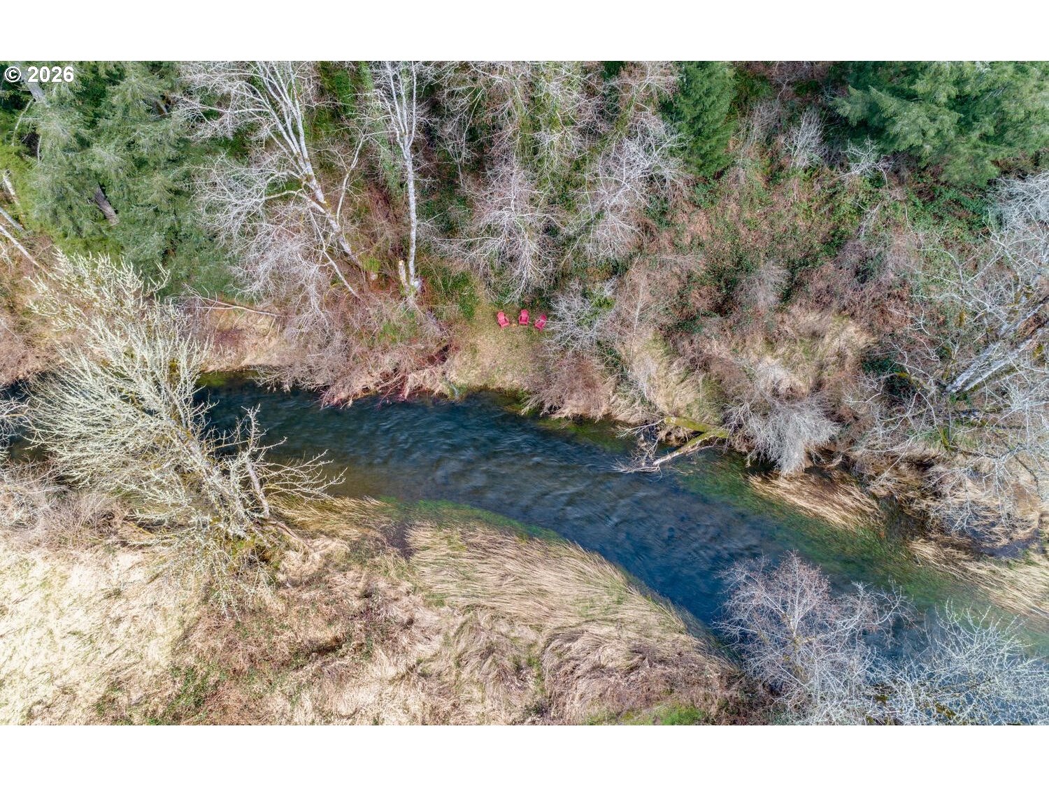 Northeast Cedar Creek Road Amboy, WA 98601 - Photo 13 of 21