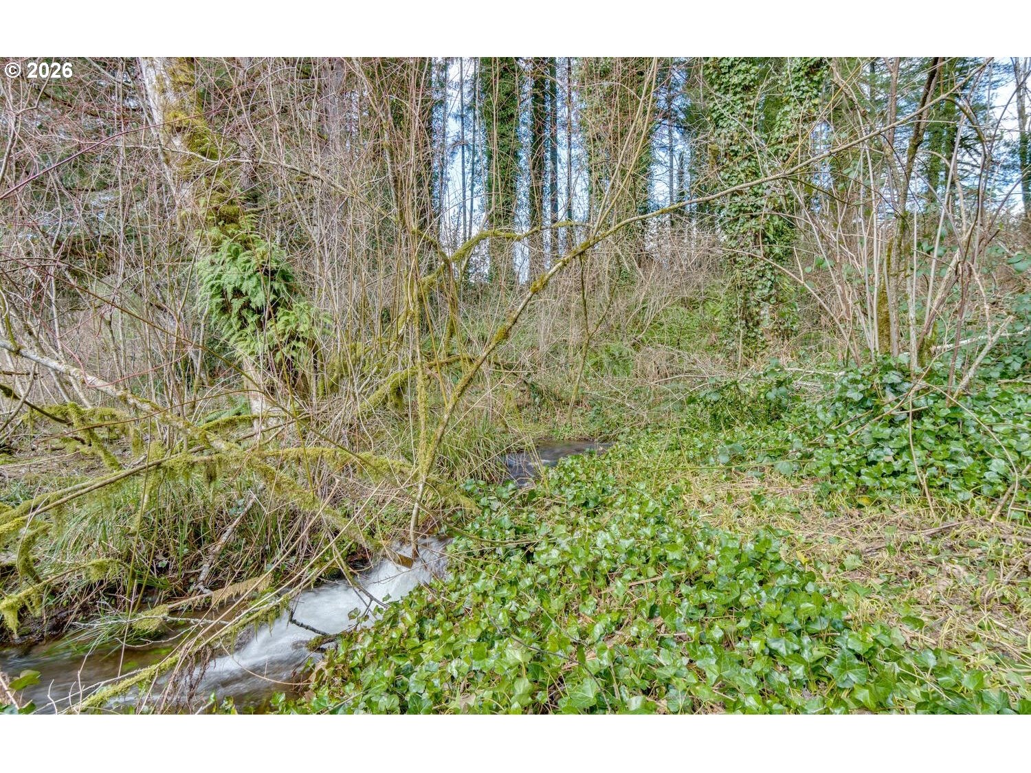 Northeast Cedar Creek Road Amboy, WA 98601 - Photo 17 of 21