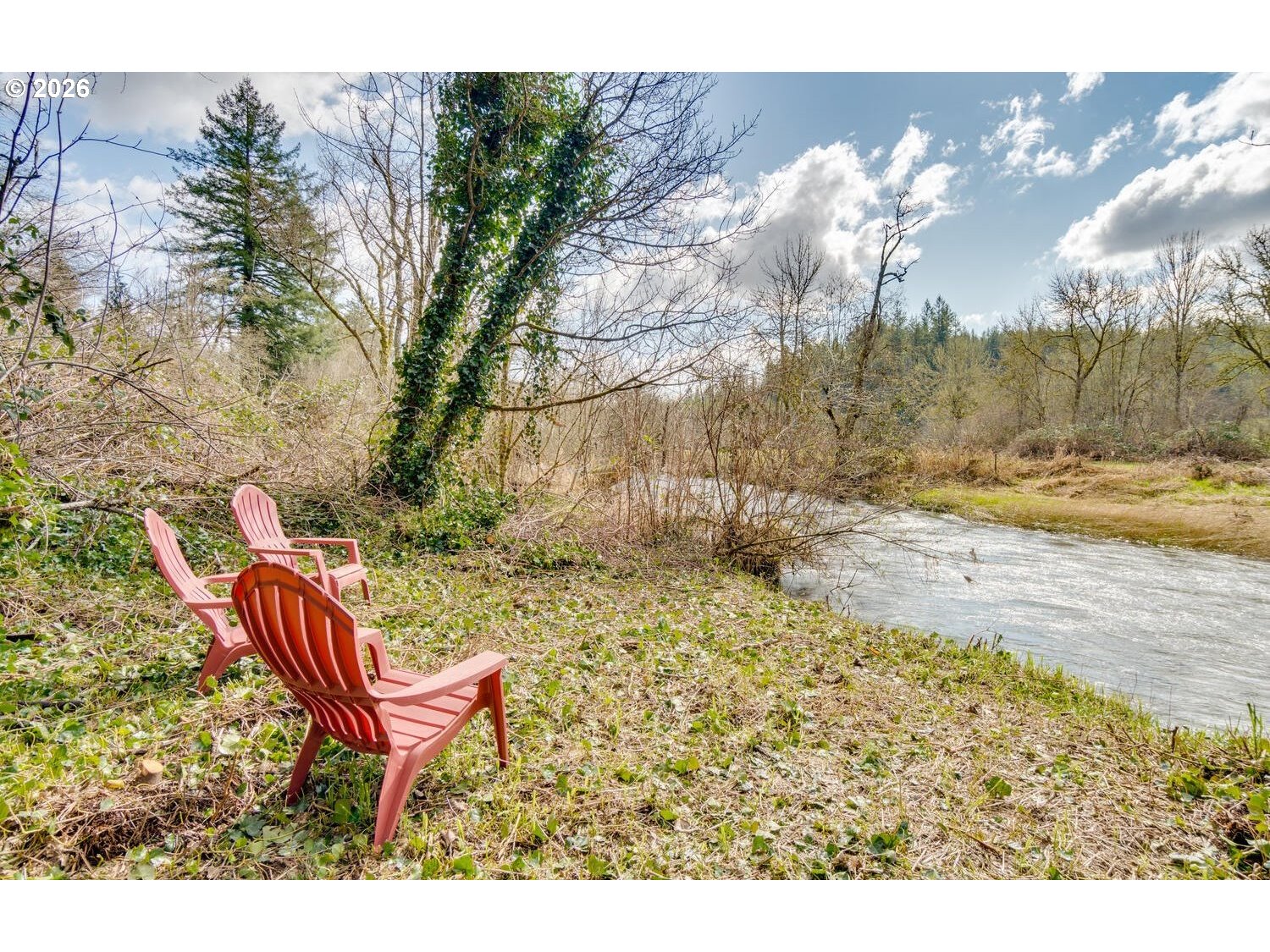 Northeast Cedar Creek Road Amboy, WA 98601 - Photo 18 of 21