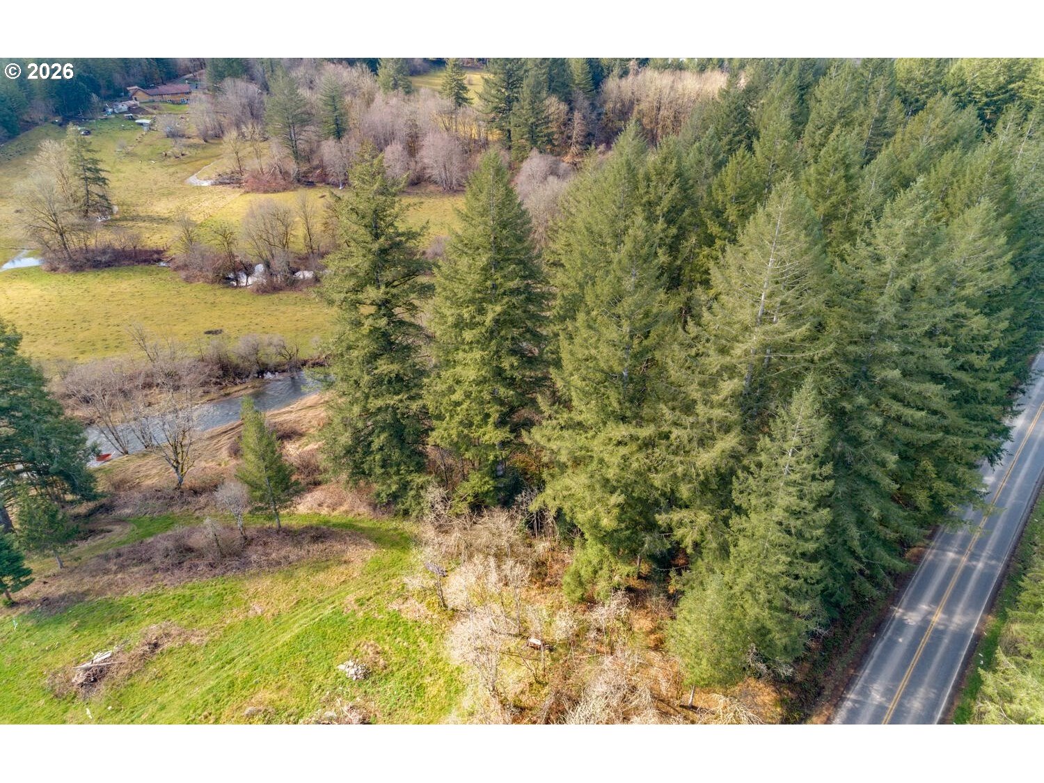 Northeast Cedar Creek Road Amboy, WA 98601 - Photo 19 of 21